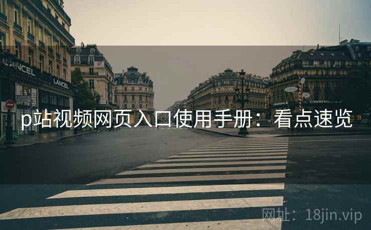 p站视频网页入口使用手册：看点速览