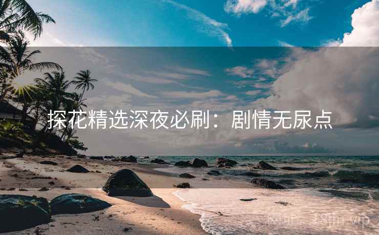 探花精选深夜必刷：剧情无尿点