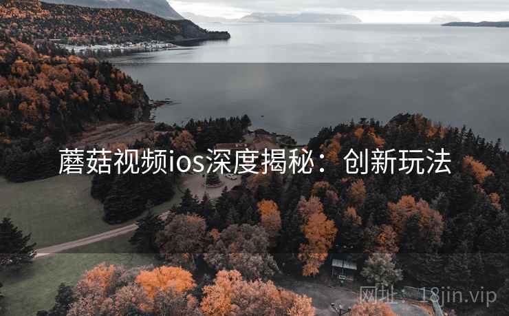 蘑菇视频ios深度揭秘：创新玩法