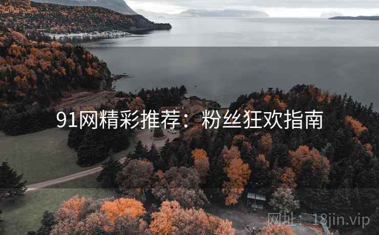 91网精彩推荐：粉丝狂欢指南