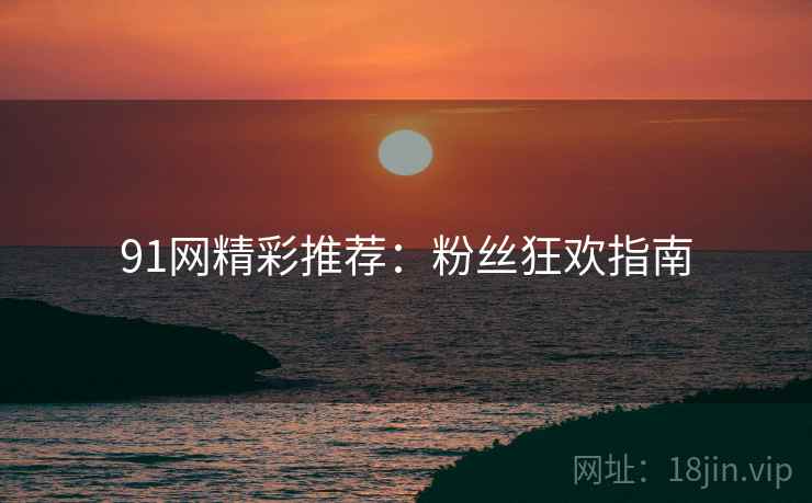 91网精彩推荐：粉丝狂欢指南