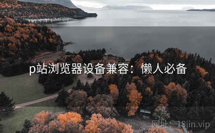p站浏览器设备兼容:懒人必备 p站浏览器设备兼容:懒人必备