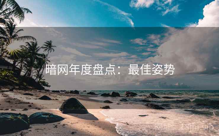 暗网年度盘点：最佳姿势